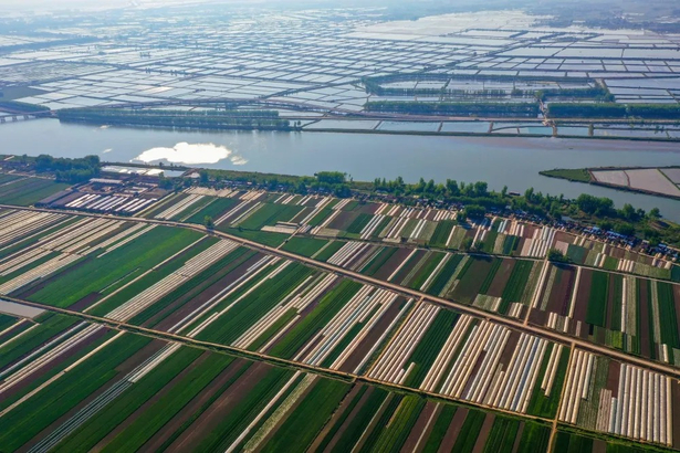 【實干開新局】乘勢而上啟新程 凝心聚力再攀峰2.jpg