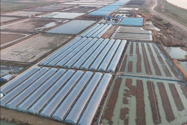 20260108【實干開新局】攻堅項目為民謀福 實干篤行再啟新程2.jpg